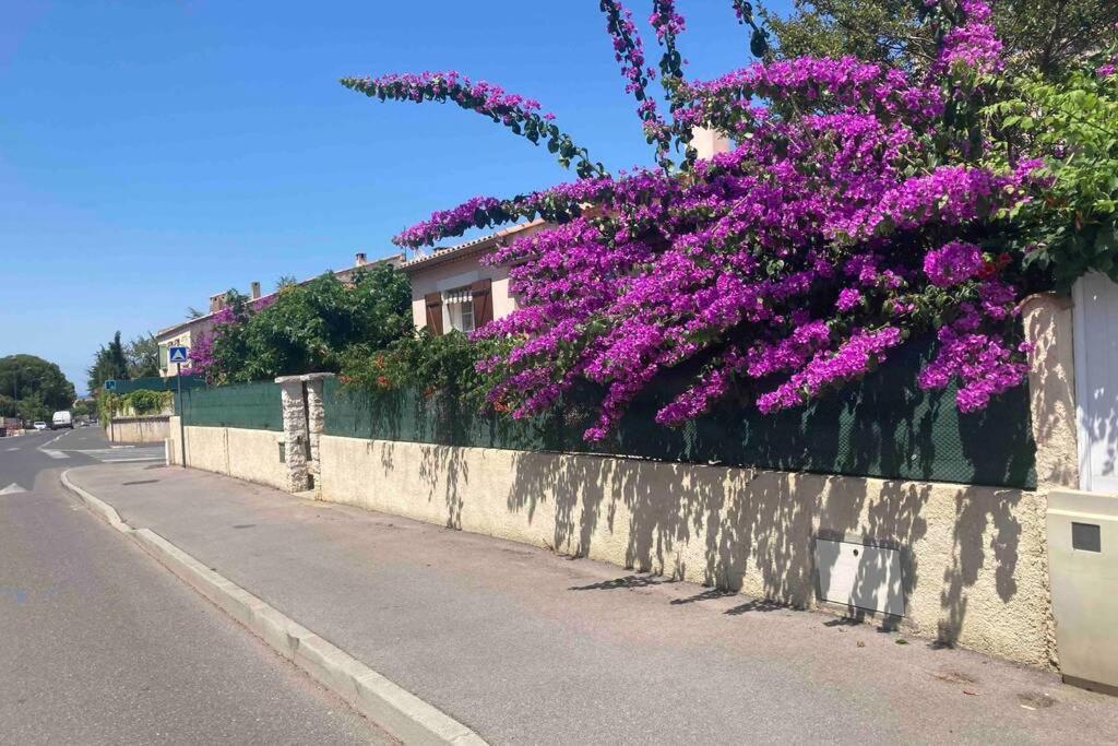 Magnifique Villa Avec Piscine Villeneuve-lès-Maguelonne Exterior foto